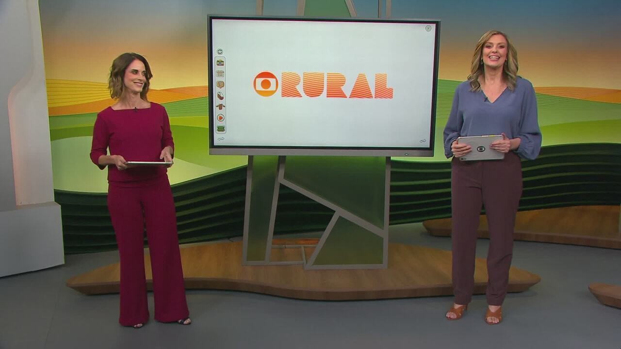 Por que ovos de codorna têm manchas e cores diferentes? Entenda