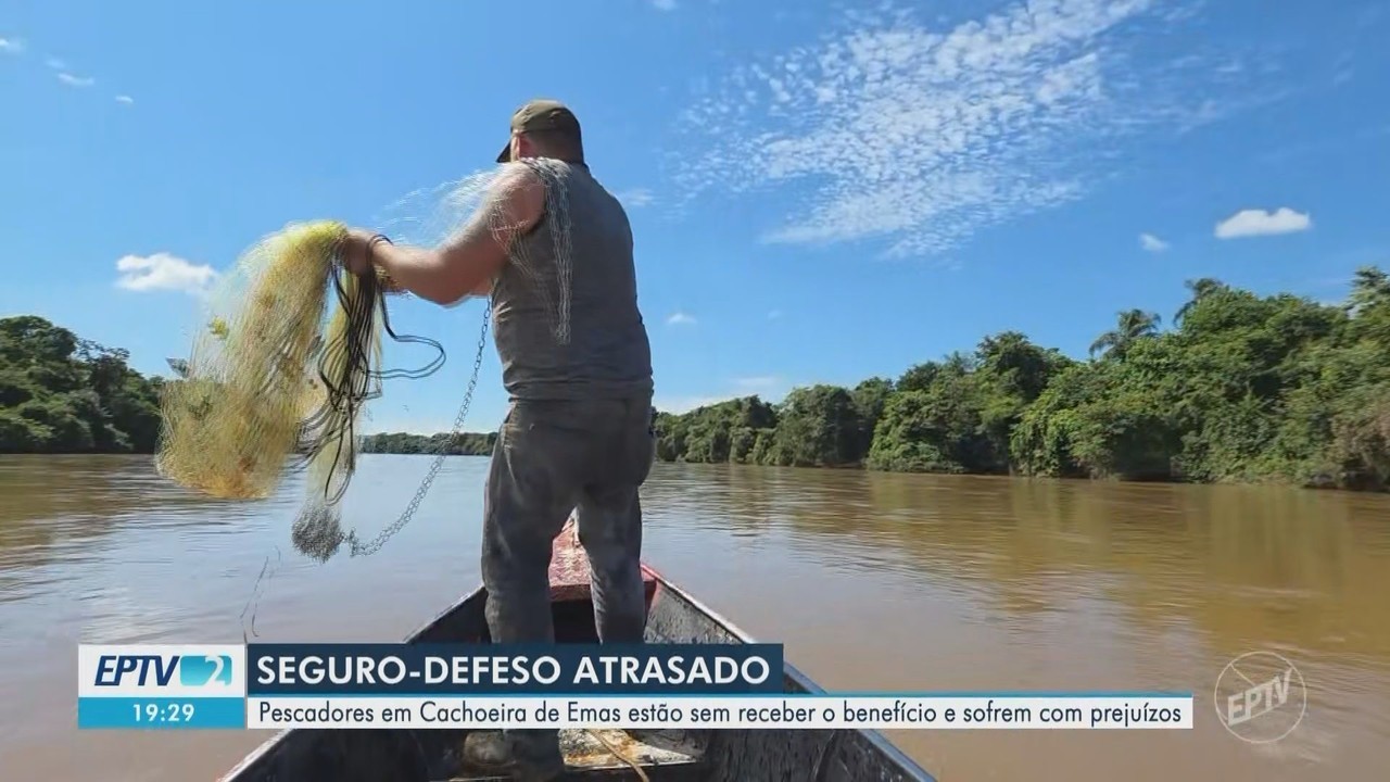 Câmara rejeita alterações do Senado e aprova MP que prevê teto de R$ 7,9 bilhões para seguro-defeso