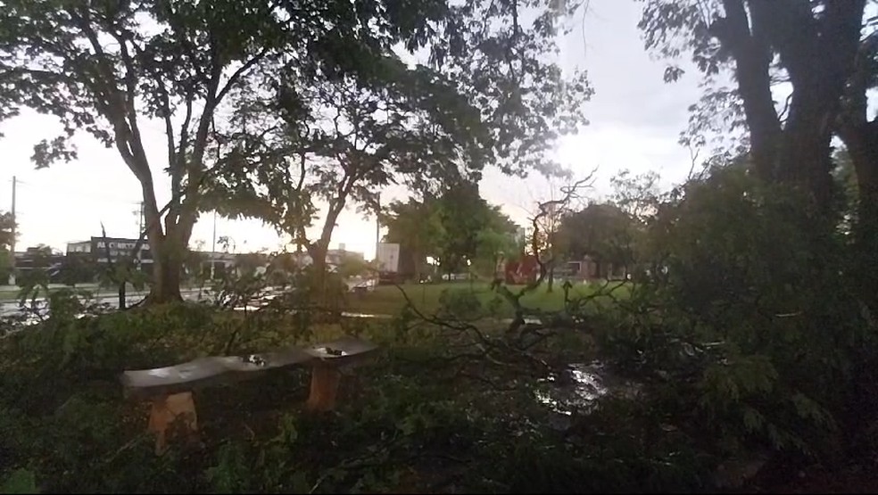 Chuva e ventos de mais de 120 km/h derrubam árvores e placas de marquise de shopping em Ourinhos — Foto: Larissa Piauí/TV TEM