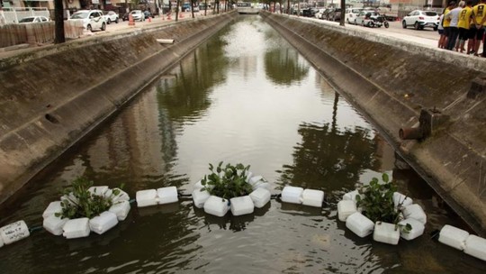 Santos instala barreiras ecológicas com plantas aquáticas nos canais - Foto: (Prefeitura de Santos/Divulgação)