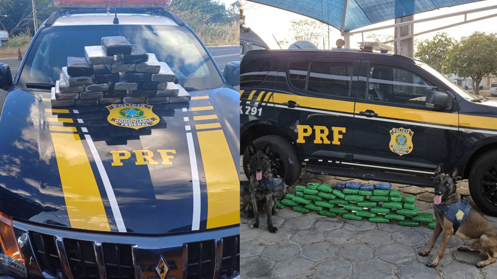 Quatro suspeitos de tráfico de drogas são presos com mais de 65 kg de maconha e cocaína na BR-316 no PI