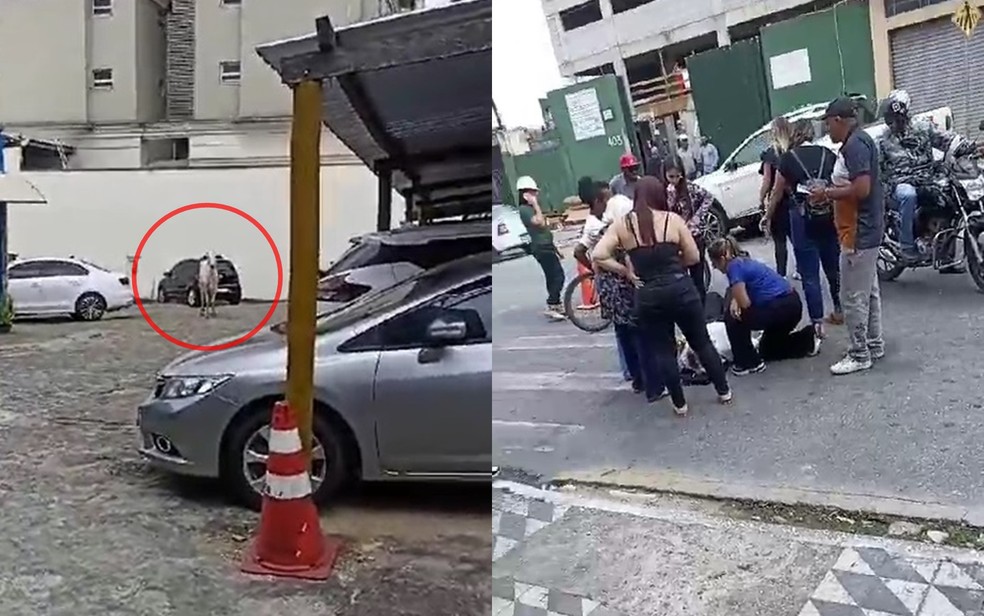 Idoso de 84 anos é atropelado por novilha enquanto atravessava rua em Pouso Alegre — Foto: Thiago Ruas