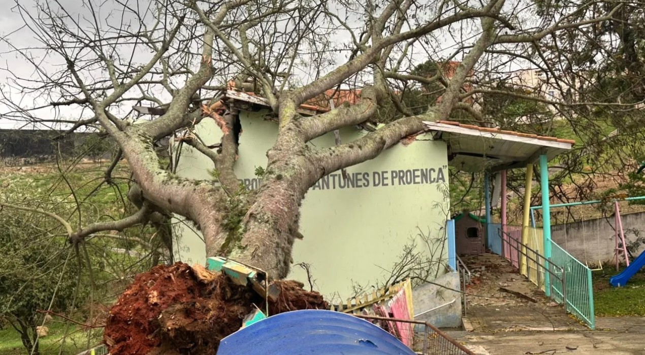 Chuva intensa e ventos fortes provocam queda de árvores e falta de energia no interior de SP 