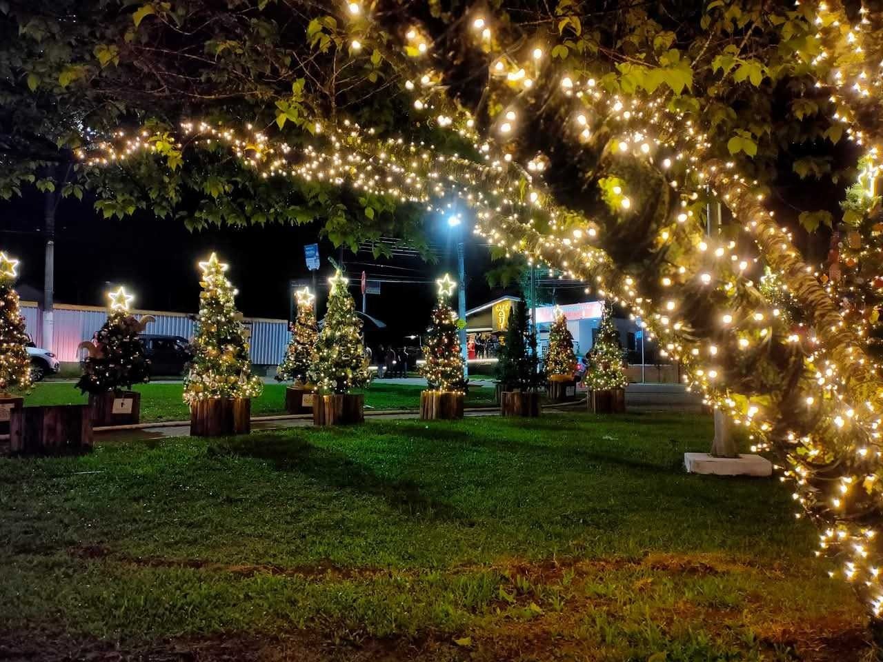 Campos do Jordão inaugura decoração de Natal e espera 1,2 milhão de turistas; veja FOTOS