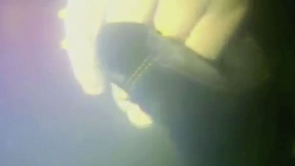 Uma câmera subaquática capturou o momento em que o mergulhador Nicolaas van Heerden pegou a mão de Harrison — Foto: DCN Global