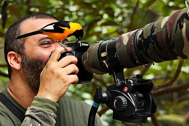 Projeto Bora Passarinhar quer criar Clube de Observadores de Aves do Baixo Tapajós