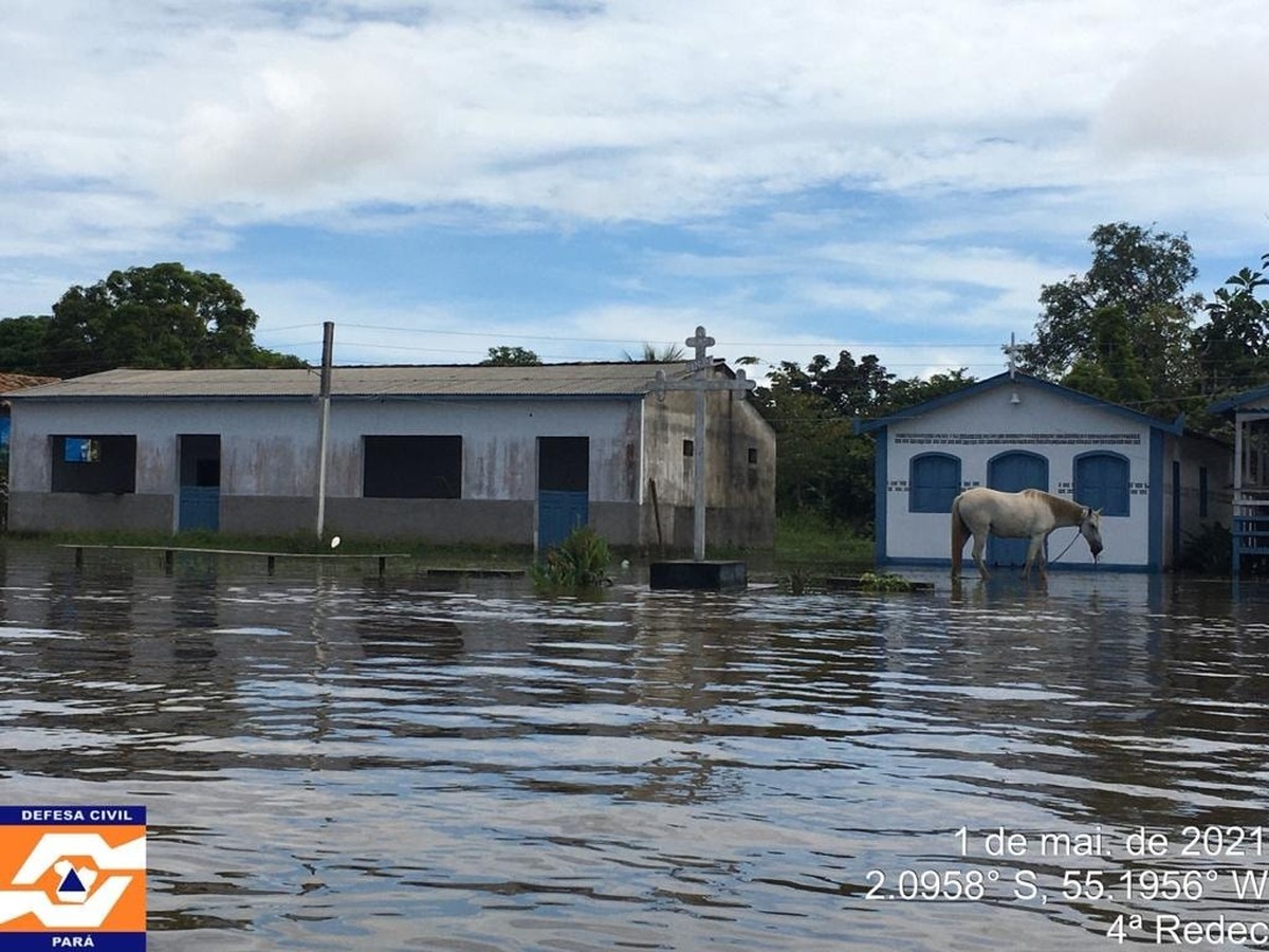 Alenquer Curuá E Faro Têm Situação De Emergência Por Inundações Reconhecida Pelo Governo 