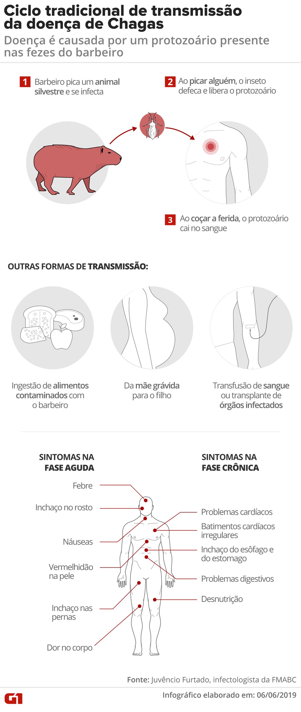 Entenda como a doença de Chagas pode ser transmitida — Foto: Diana Yukari e Juliane Monteiro/G1