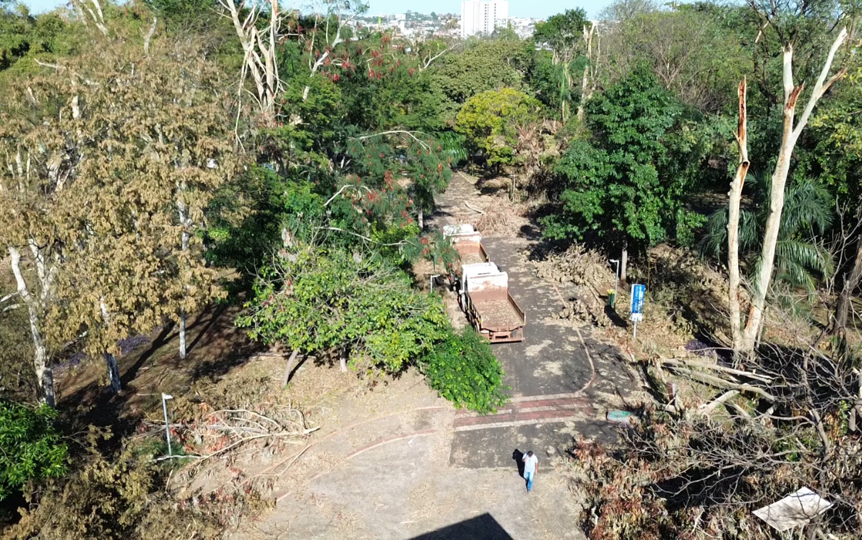 Parque Maurílio Biagi segue fechado duas semanas após temporal em Ribeirão Preto, SP