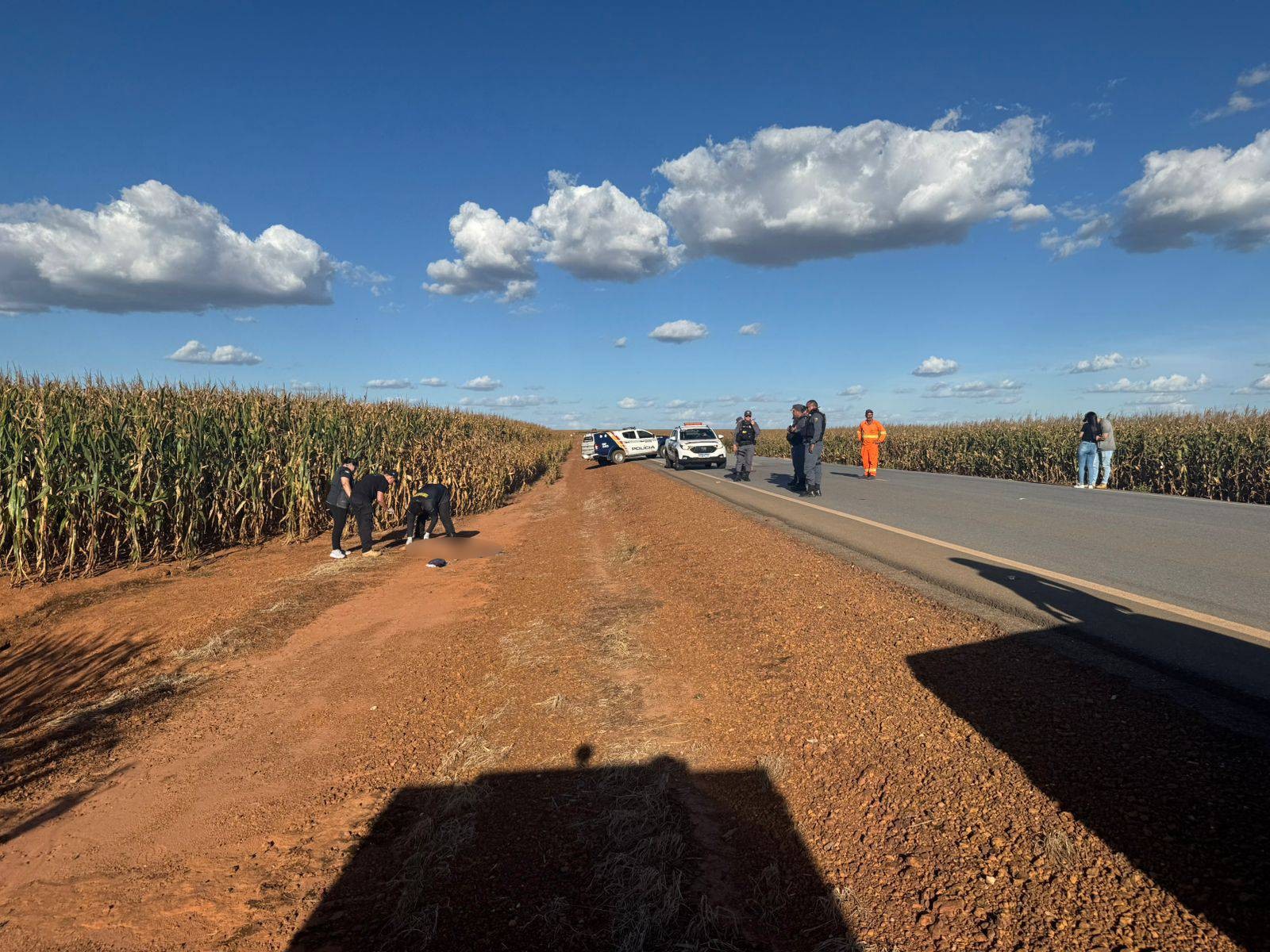 Corpo de homem é encontrado em milharal às margens de rodovia em MT 
