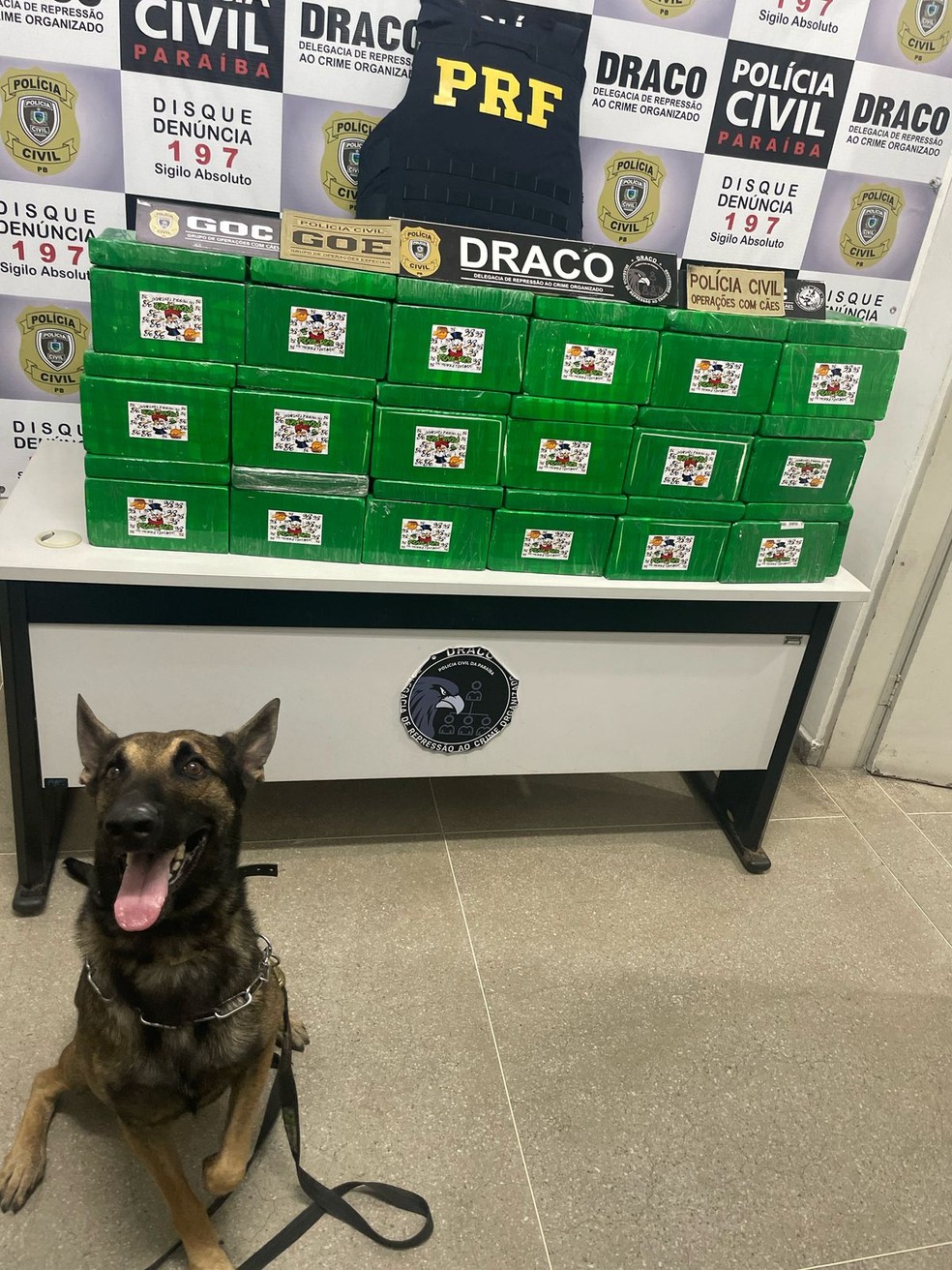 Droga veio de São paulo e tinha como destino a cidade de Sousa, no Sertão — Foto: Divulgação/PRF