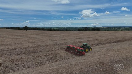 Atraso na colheita da soja preocupa quem planejou cultivar milho na seguda safra