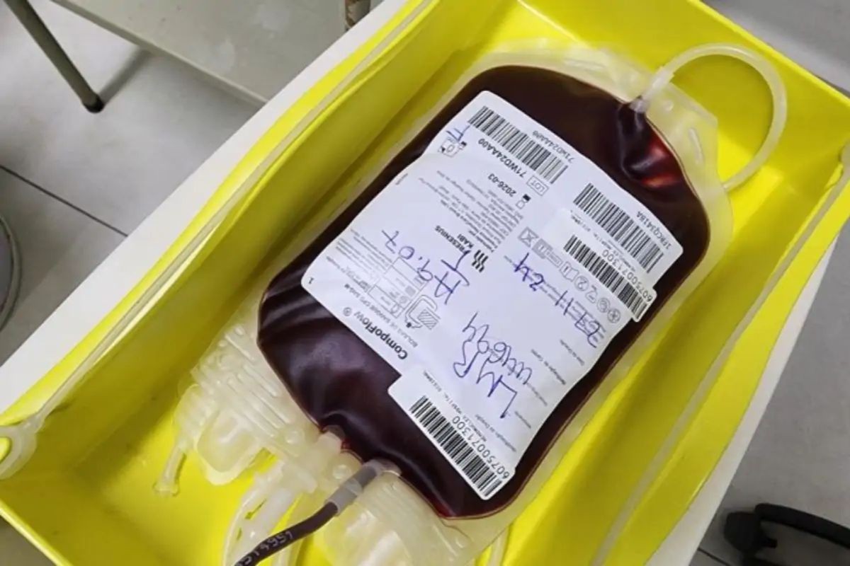 Alerta: Hemosul de Campo Grande faz apelo por doadores e amplia horários antes das festas de fim de ano