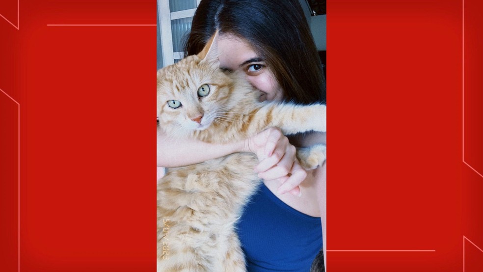 Marcela e seu gato Pequi, no DF — Foto: Arquivo Pessoal