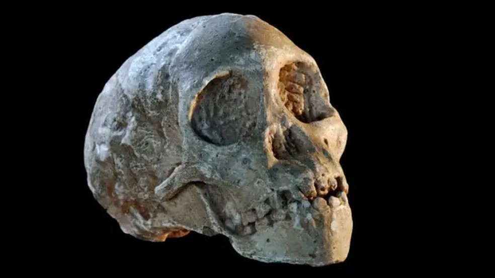 Hoje sabemos que o 'elo perdido' entre seres humanos e macacos tinha 3 ou 4 anos quando morreu atacado por uma águia — Foto: Science Photo Library