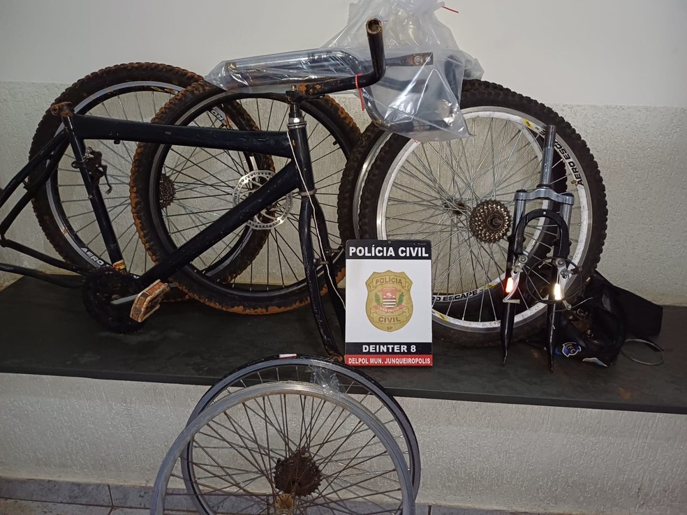 Adolescentes foram identificados como suspeitos de furtos de bicicletas, em Junqueirópolis (SP) — Foto: Polícia Civil