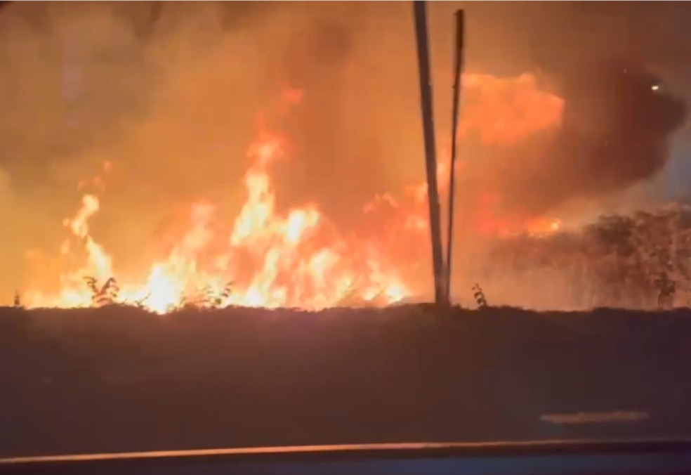 Incêndio atinge área de vegetação entre as cidades de Jacobina e Miguel Calmon, no norte da Bahia — Foto: Reprodução/TV São Francisco