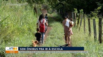 Especialista explica como estudantes podem minimizar efeitos da falta de aulas