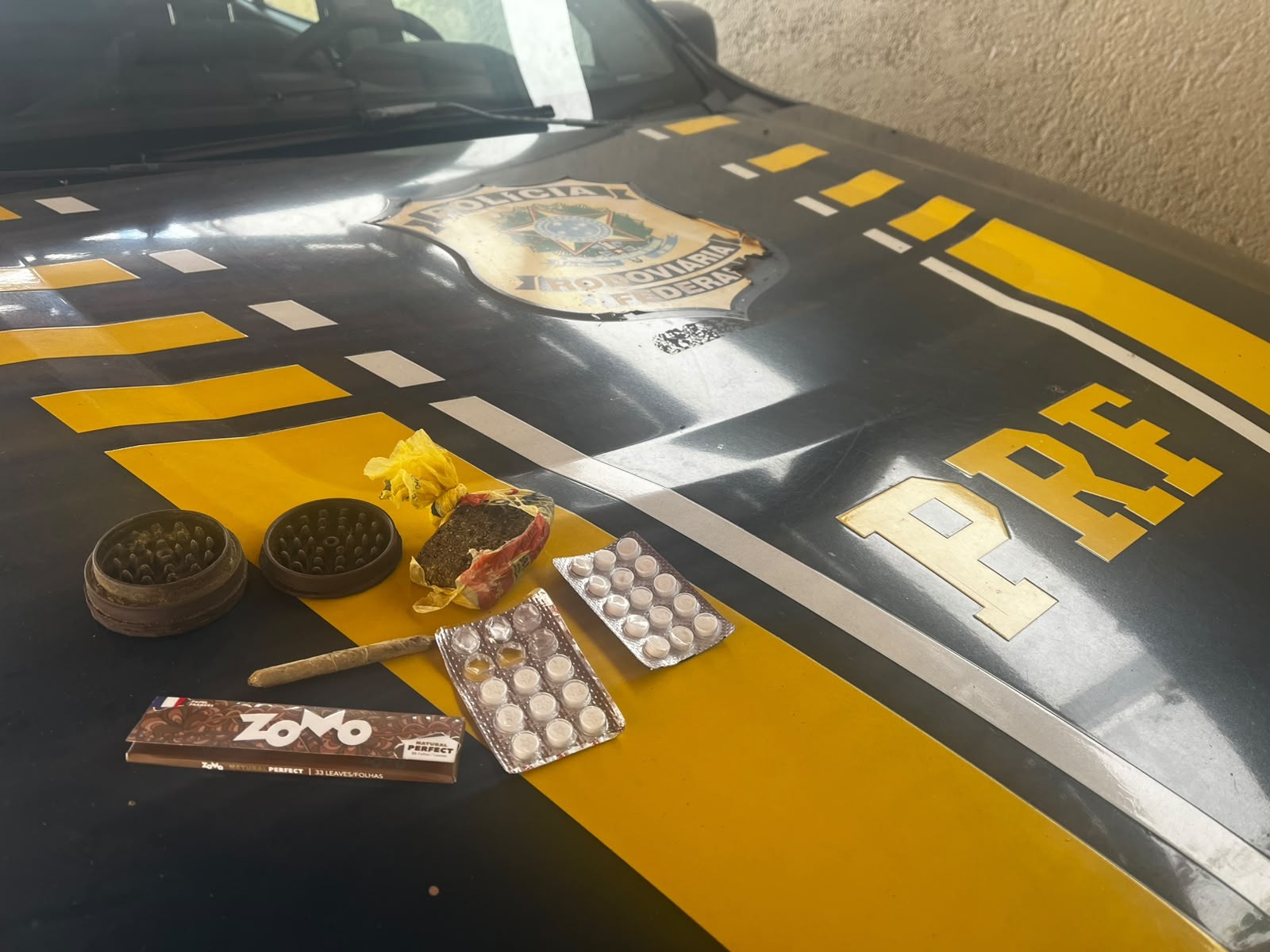 PRF encontra maconha e comprimidos de rebite com caminhoneiro na BR-251