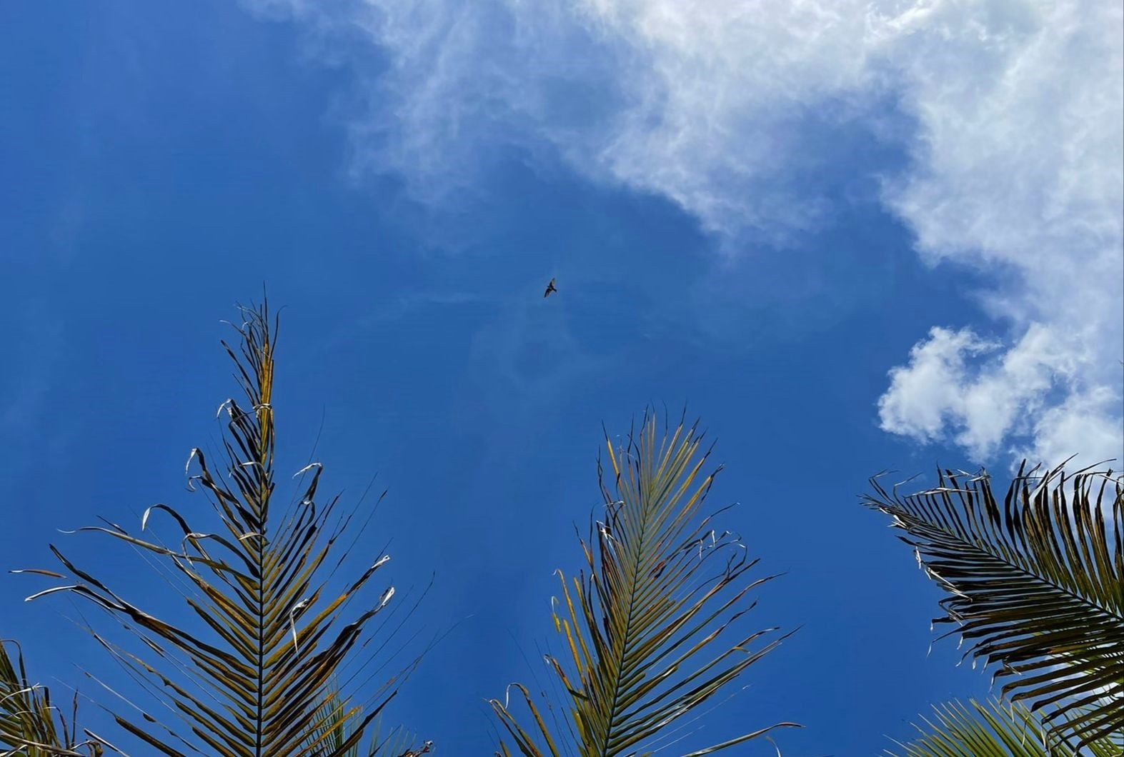 Calor de até 33 °C e chuvas isoladas; veja como fica o tempo no Triângulo e Alto Paranaíba