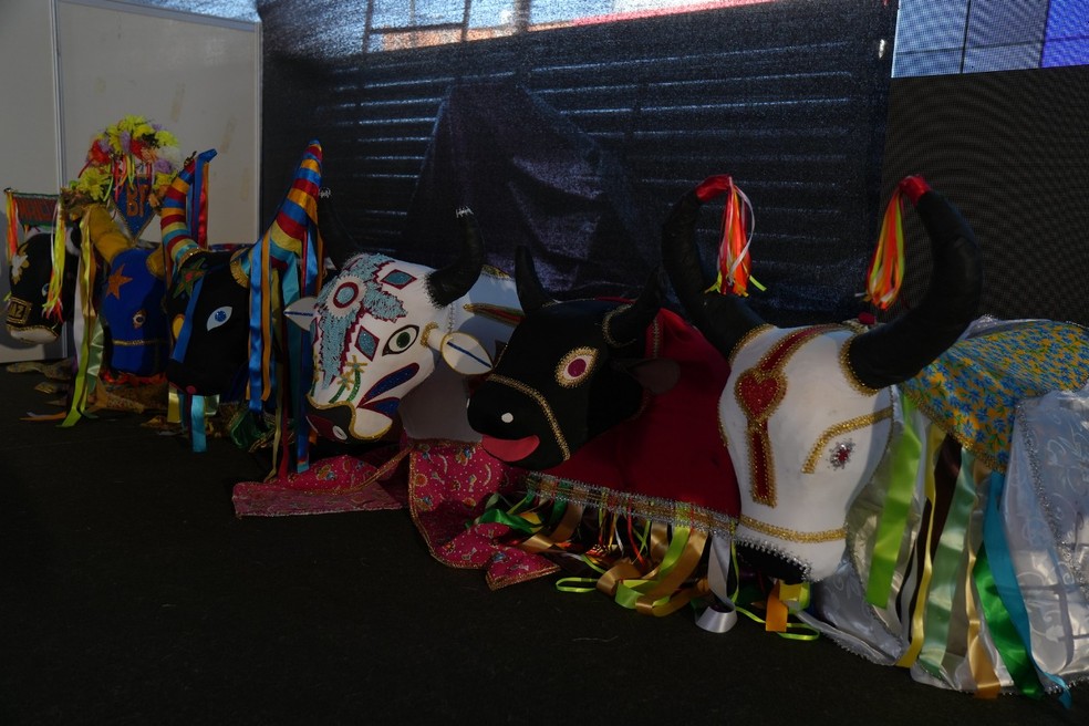 Indumentárias que irão compor a estação da cultura — Foto: Divulgação