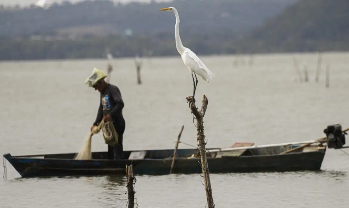 Justiça do Trabalho proíbe sindicato de pescadores do Pará de praticar assédio eleitoral contra associados