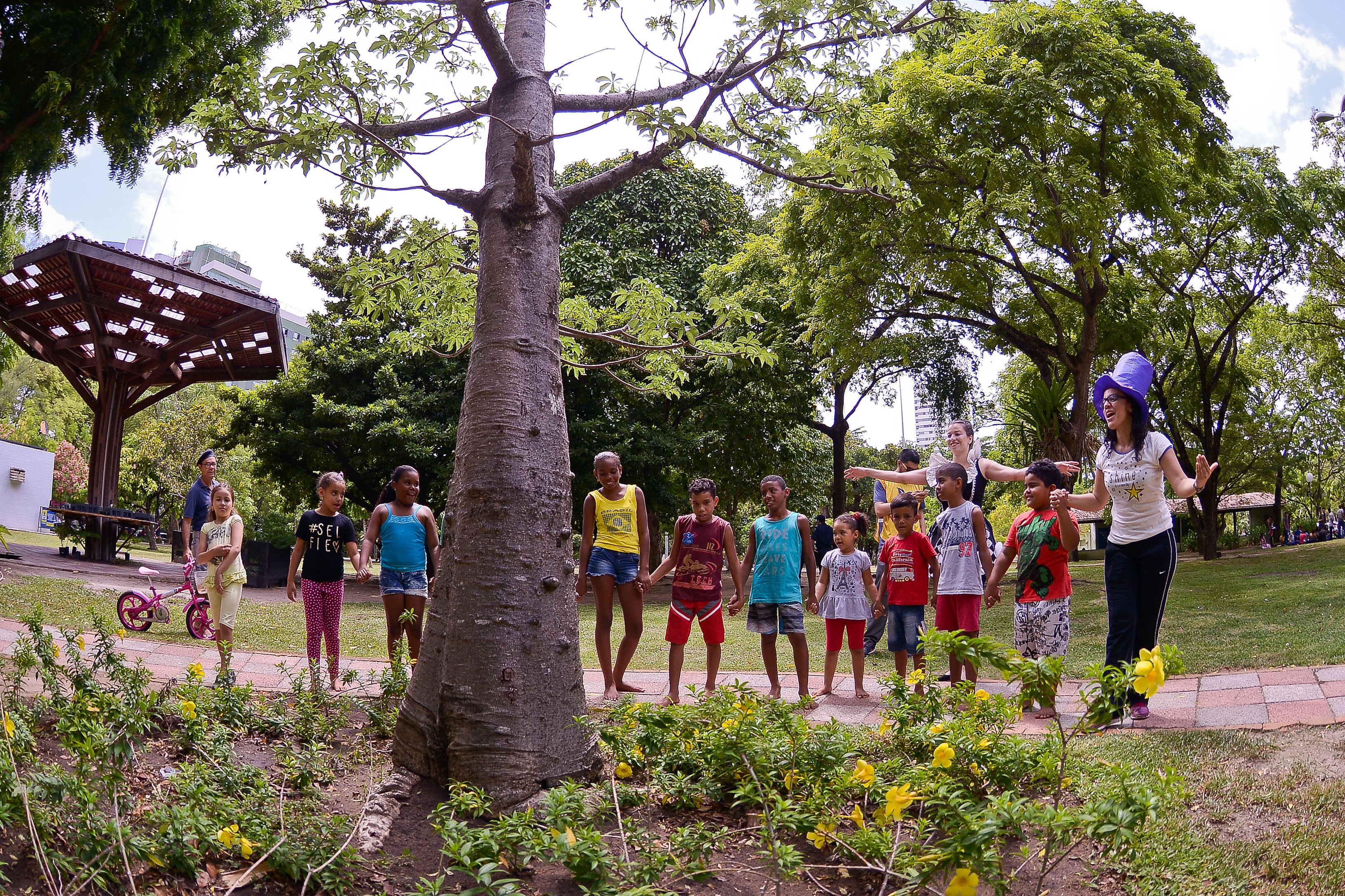 
Por que crianças não podem subir em árvores nos parques de SP? Caso no Villa-Lobos reacende debate sobre regras que proíbem a prática