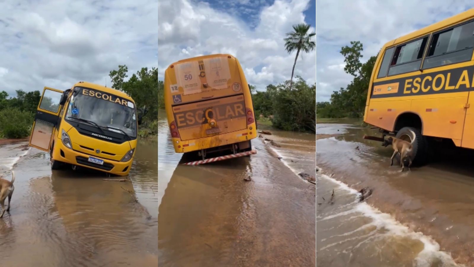 Vídeo: Ônibus escolar atola e quase tomba ao tentar atravessar passagem molhada no interior do PI