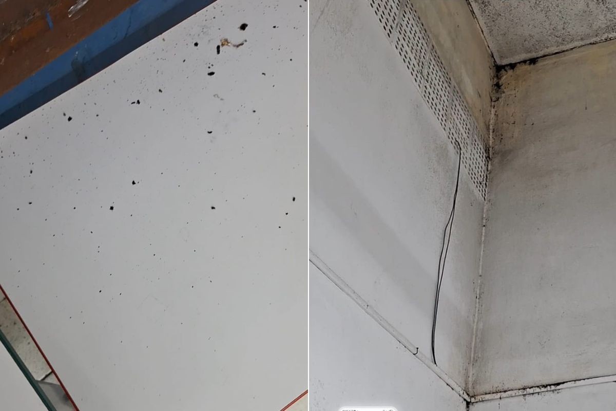 Escola municipal é alvo de denúncias por fezes de morcegos e problemas sanitários no interior de SP