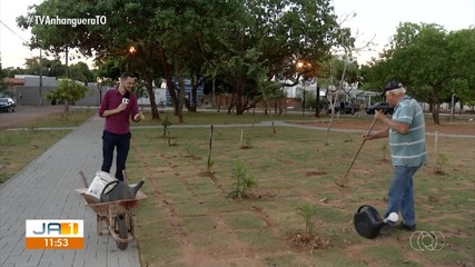 Morador de 78 anos cuida de mudas em praça de Palmas