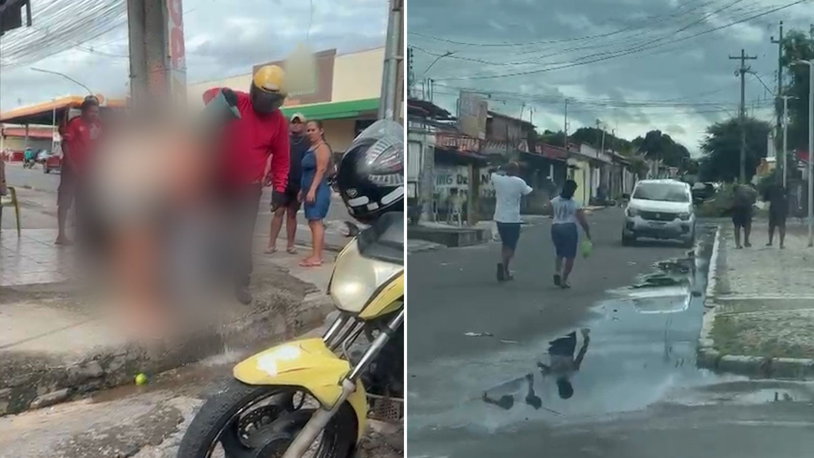 Moradores são atacados por enxame de abelhas na Zona Norte de Teresina