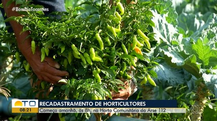 Horticultores de Palmas devem realizar recadastramento a partir de 1º de abril