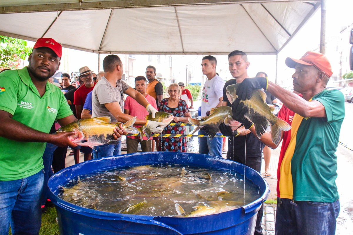 Feira de Produtores de Peixe