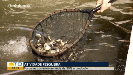Produção de pescado tem aumento de 30% no Tocantins