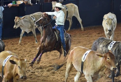 Lynyrd Skynyrd épico, Fernando e Sorocaba no improviso e mais: veja como  foi 2ª noite do Jaguariúna Rodeo Festival, Rodeio de Jaguariúna