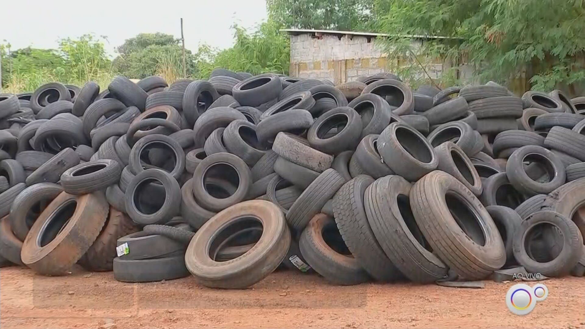 Com quase 60 casos de dengue em menos no primeiro bimestre, Jaú tem pneus abandonados até em área urbana