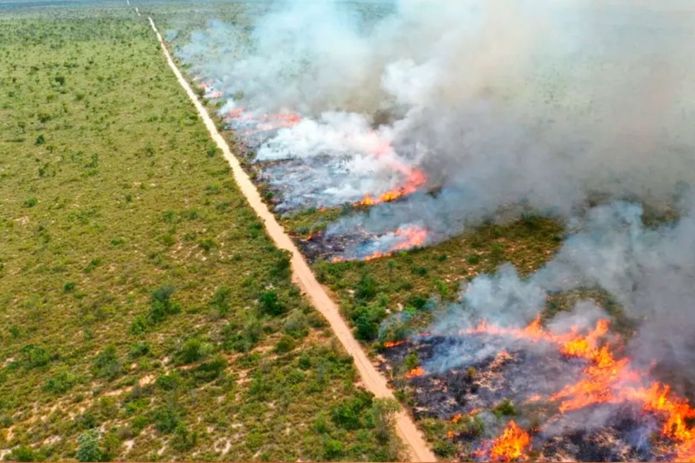 Imasul orienta sobre abertura de aceiros e procedimentos. — Foto: Bruno Rezende/Secom