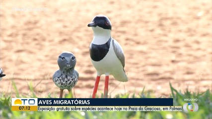 Aves migratórias são tema de exposição na Praia da Graciosa
