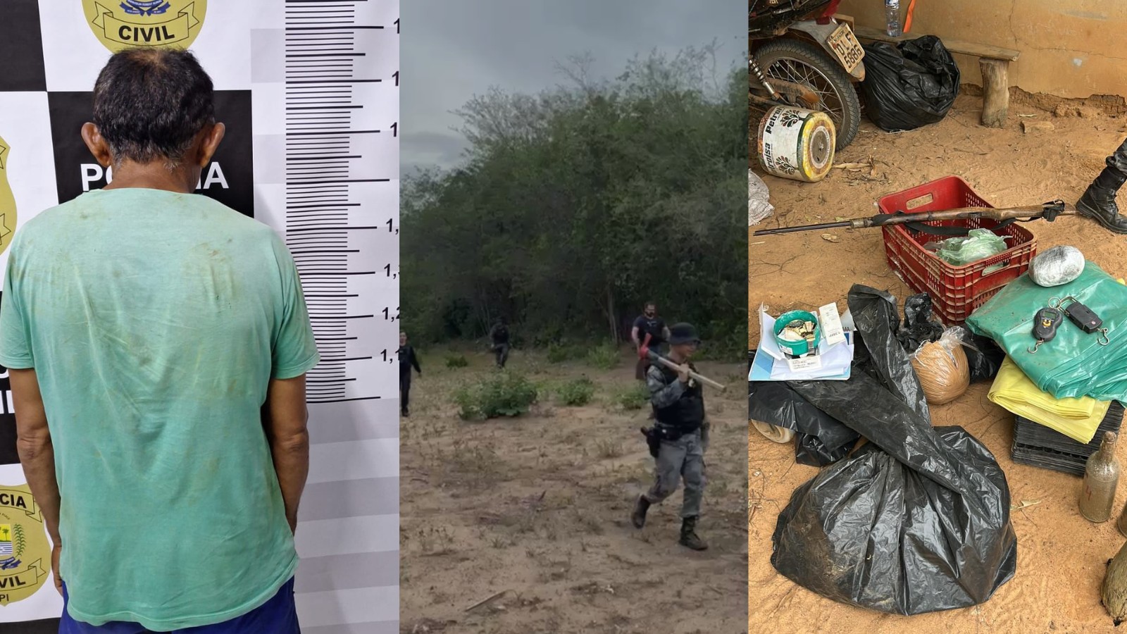 Plantação de maconha com sistema de irrigição é encontrada pela polícia; suspeito foi preso em flagrante