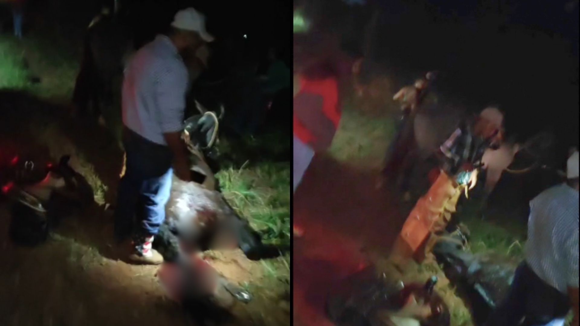 Animal invade pista e atinge carro durante cavalgada na Estrada do Pau Furado