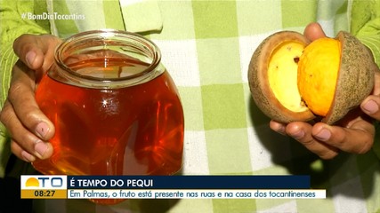 É Tempo de Pequi: fruto pode ser encontrado em ruas e nas casas dos tocantinenses