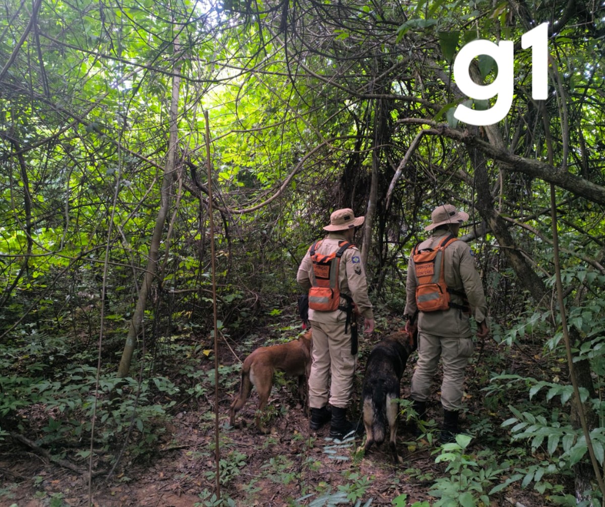Sobe para 8 o número de corpos encontrados enterrados perto de rio em MT - Portais