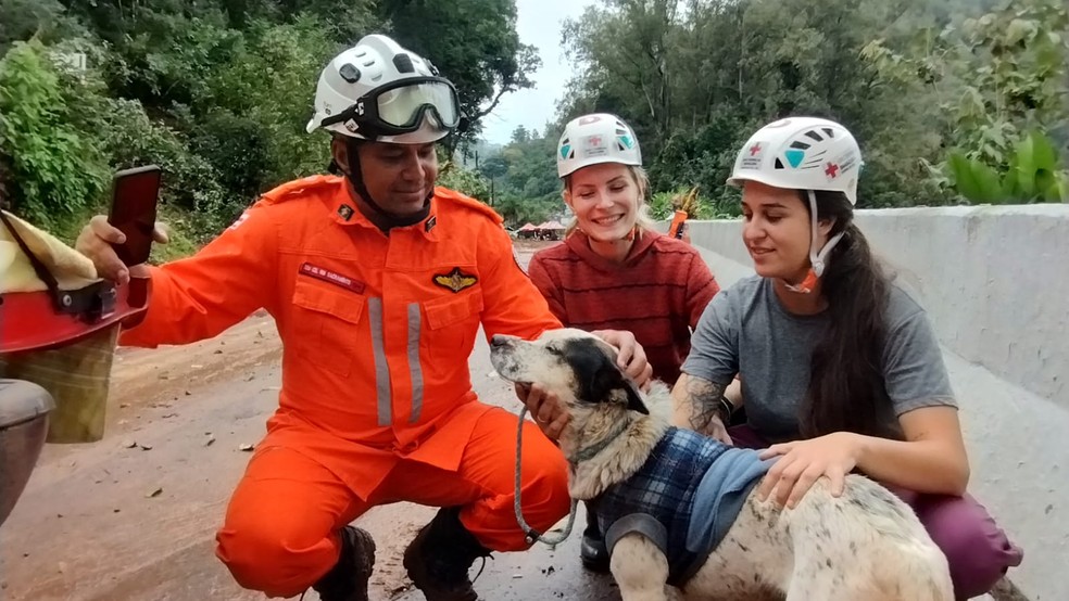 Cachorro é resgatado por bombeiros baianos em Caxias do Sul — Foto: CBMBA