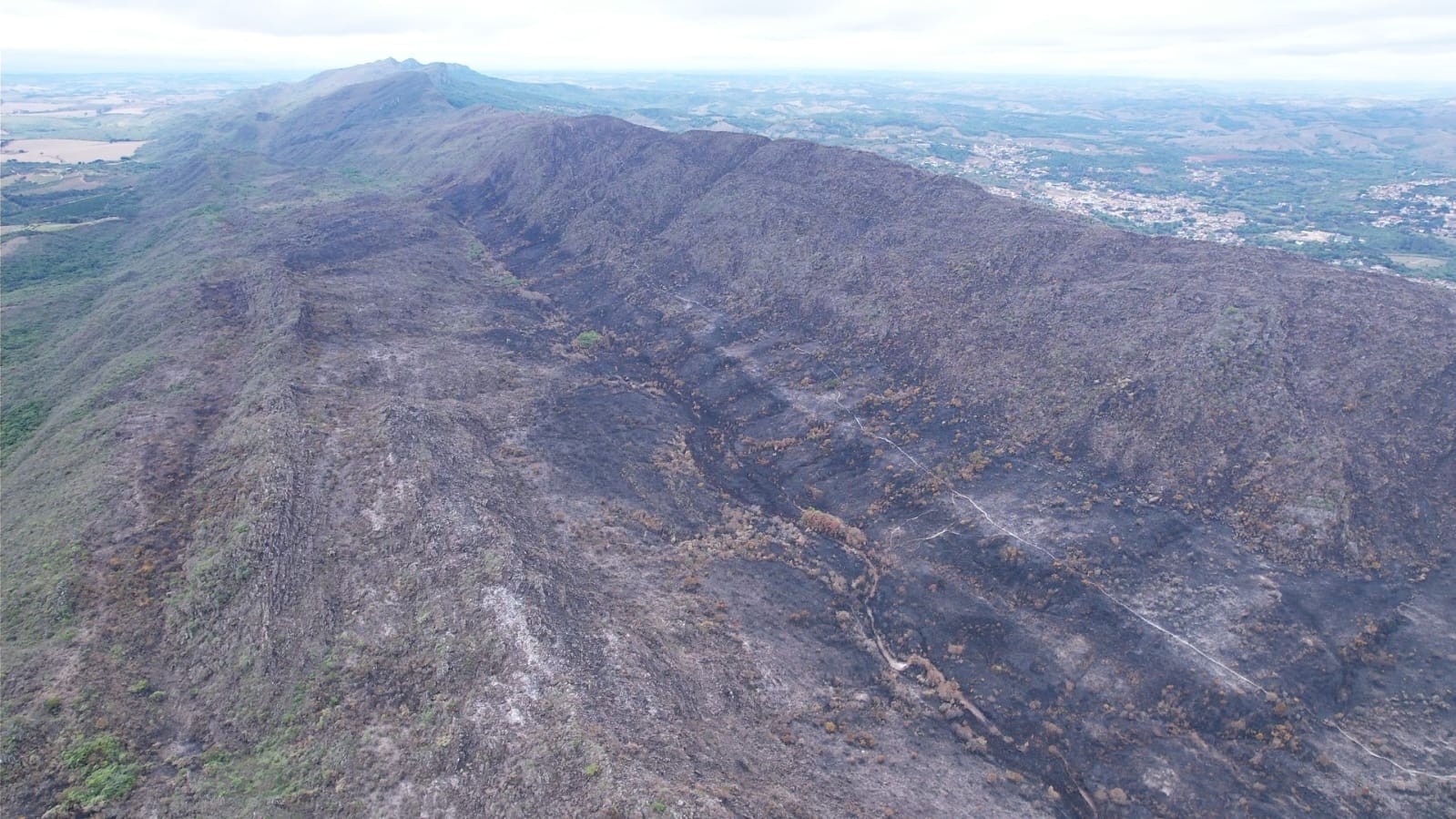 Refúgio de libélulas, campos rupestres e trilhas: incêndio na Serra de São José destruiu parte da área de proteção ambiental em MG