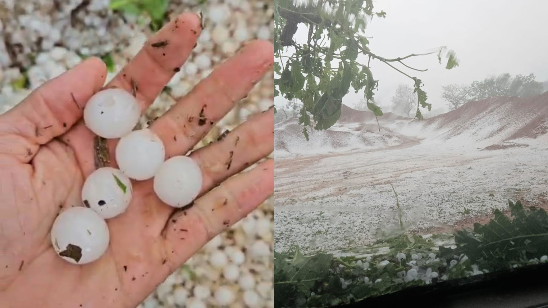 VÍDEO: Granizo transforma vegetação em 'tapete de gelo' na zona rural de MG