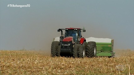 Produtores cuidam do solo durante o período da entressafra