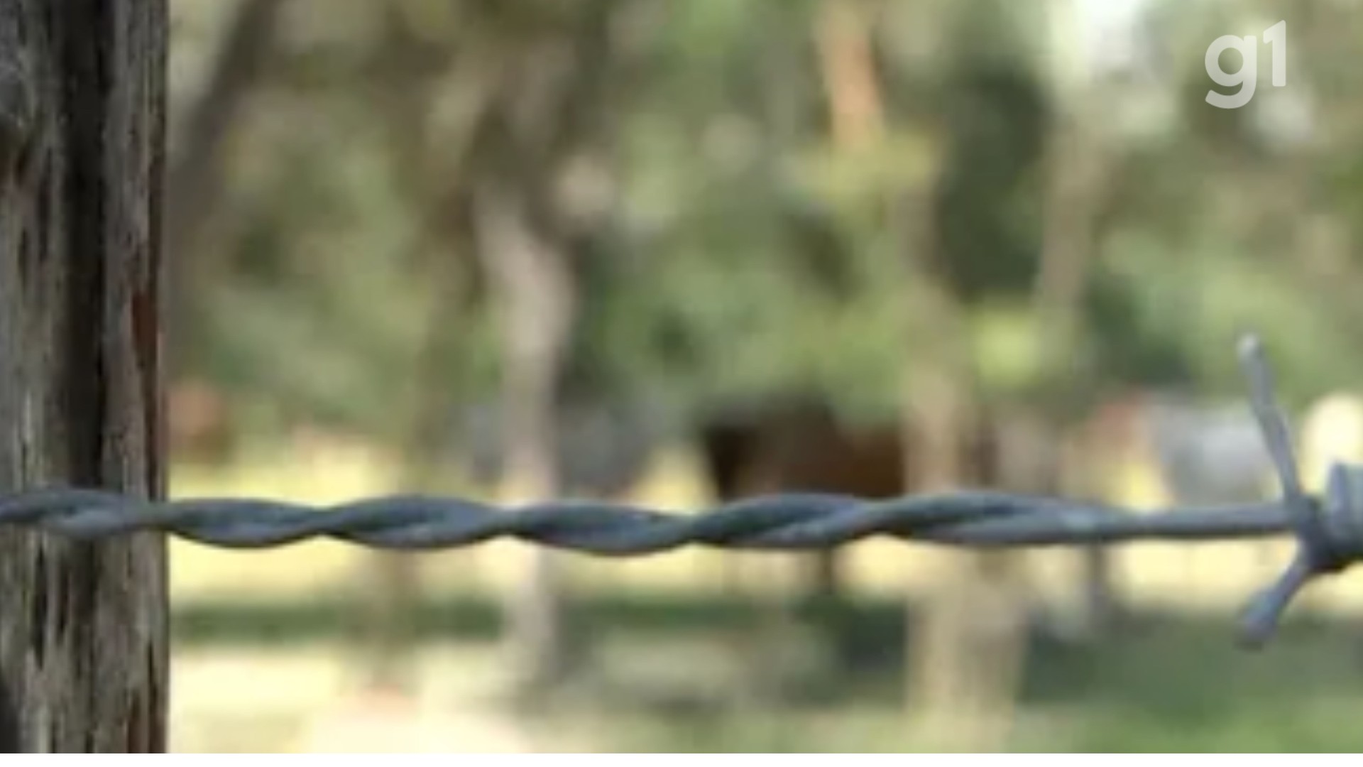 Maranhão lidera conflitos por terra no país em 2025, aponta a Comissão Pastoral da Terra