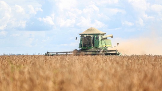 Os problemas no agro que o próximo presidente vai enfrentar