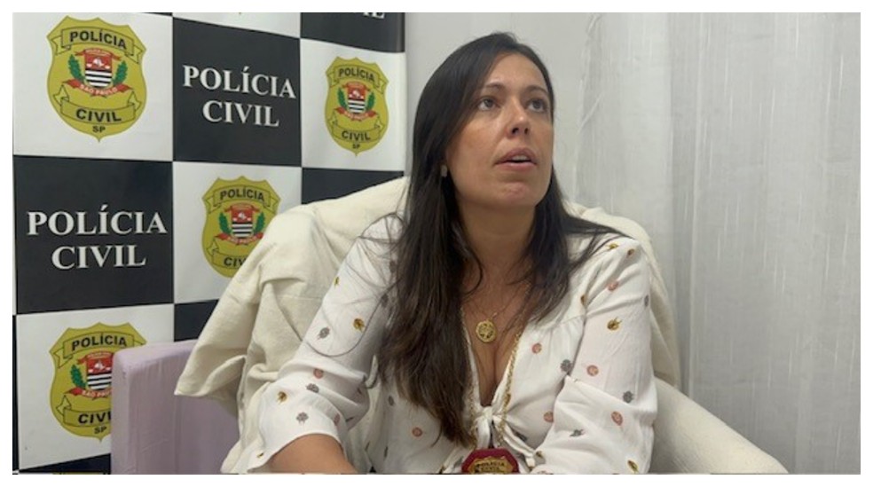 Delegada Juliana Raite Menezes, da 8ª DDM de SP — Foto: Kleber Tomaz/g1