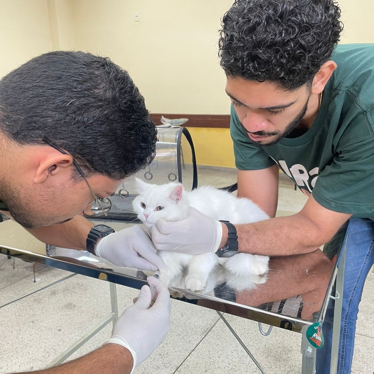 Volta Redonda recebe vacinação gratuita para cães e gatos neste final de semana